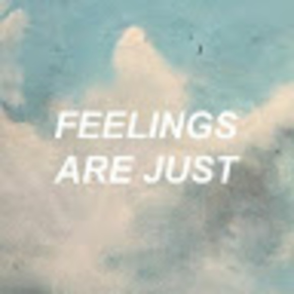 Meet your Posher, Riley - Picture 1 of 1